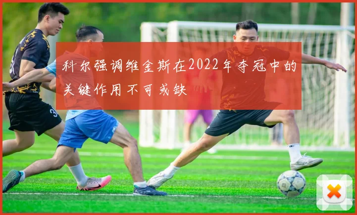 科尔强调维金斯在2022年夺冠中的关键作用不可或缺