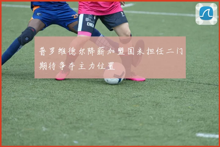 普罗维德尔降薪加盟国米担任二门期待争夺主力位置