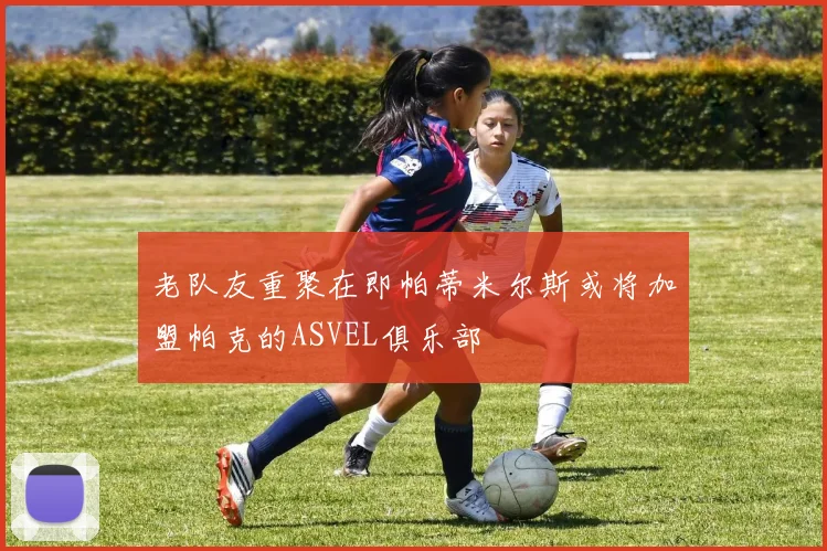 老队友重聚在即帕蒂米尔斯或将加盟帕克的ASVEL俱乐部
